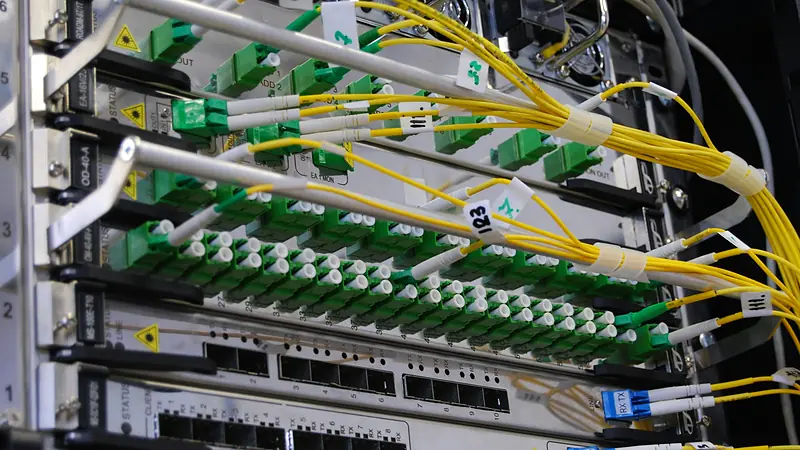 Network switch ports with patch cables